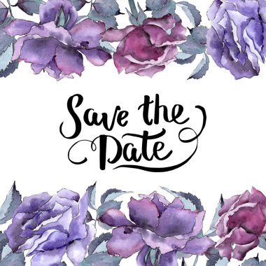 Renkli gül. Botanik çiçek. Çerçeve kenarlığı süsleme Meydanı.