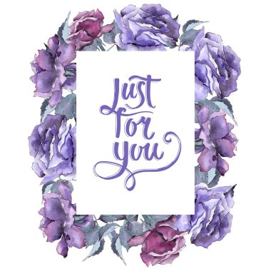 Renkli gül. Botanik çiçek. Çerçeve kenarlığı süsleme Meydanı.