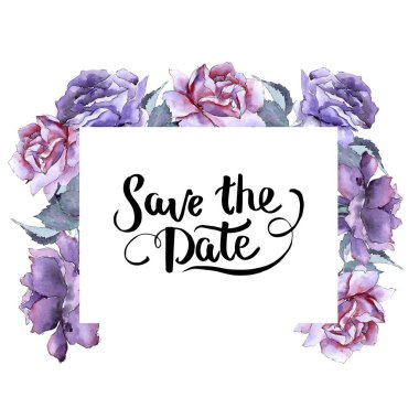 Renkli gül. Botanik çiçek. Çerçeve kenarlığı süsleme Meydanı.