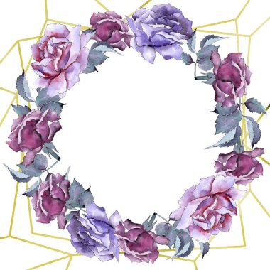 Renkli gül. Botanik çiçek. Çerçeve kenarlığı süsleme Meydanı.