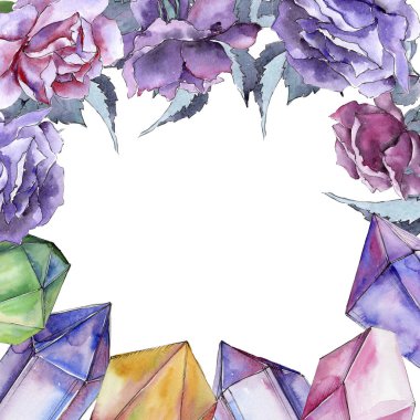 Renkli gül. Botanik çiçek. Çerçeve kenarlığı süsleme Meydanı.