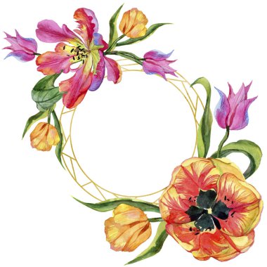 Renkli yaz lale. Botanik çiçek. Çerçeve kenarlığı süsleme Meydanı. Arka plan, doku, sarıcı desen, çerçeve veya kenarlık için Aquarelle kır çiçeği.