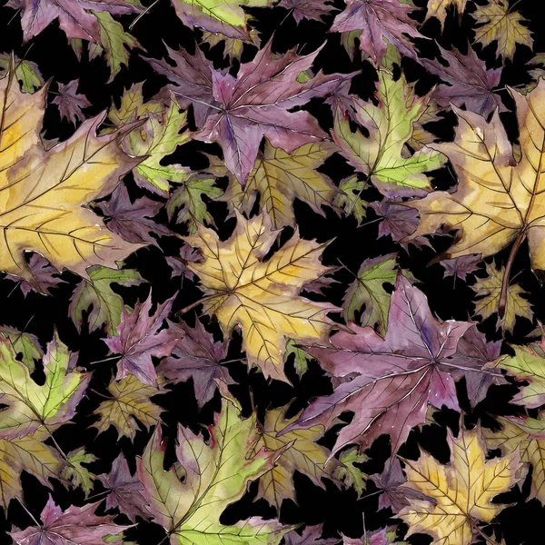 Liść klonu. Liść roślina botaniczny ogród kwiatowy liści. Bezszwowe tło wzór. — Zdjęcie stockowe