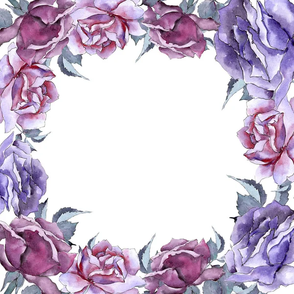 Rosa colorida. Floral flor botânica. Quadro borda ornamento quadrado . — Fotografia de Stock