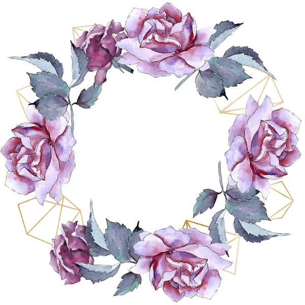 Kleurrijke rose. Floral botanische bloem. Frame grens ornament vierkant. — Stockfoto