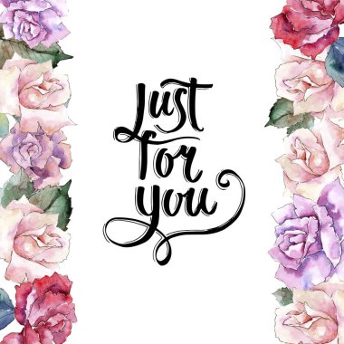 İhale pembe gül. Botanik çiçek. Çerçeve kenarlığı süsleme Meydanı. Arka plan, doku, sarıcı desen, çerçeve veya kenarlık için Aquarelle kır çiçeği.