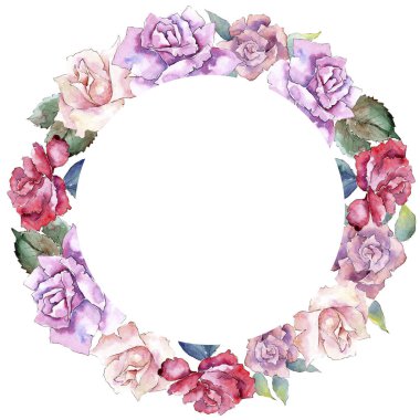 İhale pembe gül. Botanik çiçek. Çerçeve kenarlığı süsleme Meydanı. Arka plan, doku, sarıcı desen, çerçeve veya kenarlık için Aquarelle kır çiçeği.