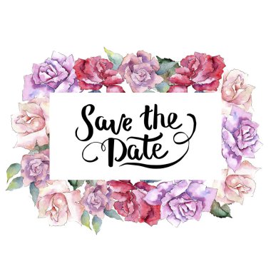 İhale pembe gül. Botanik çiçek. Çerçeve kenarlığı süsleme Meydanı. Arka plan, doku, sarıcı desen, çerçeve veya kenarlık için Aquarelle kır çiçeği.