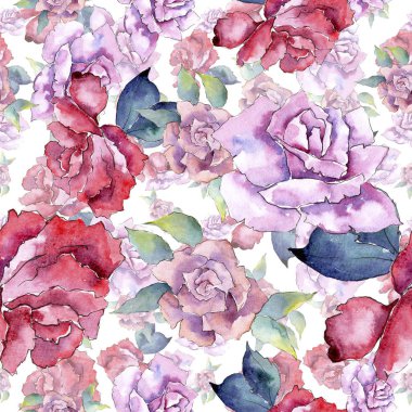 İhale pembe gül. Botanik çiçek. Sorunsuz arka plan deseni. Kumaş duvar kağıdı yazdırma doku. Arka plan, doku, sarıcı desen, çerçeve veya kenarlık için Aquarelle kır çiçeği.