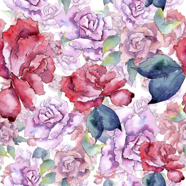 İhale pembe gül. Botanik çiçek. Sorunsuz arka plan deseni. Kumaş duvar kağıdı yazdırma doku. Arka plan, doku, sarıcı desen, çerçeve veya kenarlık için Aquarelle kır çiçeği.