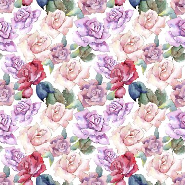 İhale pembe gül. Botanik çiçek. Sorunsuz arka plan deseni. Kumaş duvar kağıdı yazdırma doku. Arka plan, doku, sarıcı desen, çerçeve veya kenarlık için Aquarelle kır çiçeği.