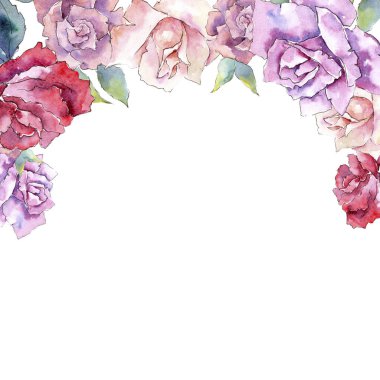 İhale pembe gül. Botanik çiçek. Çerçeve kenarlığı süsleme Meydanı. Arka plan, doku, sarıcı desen, çerçeve veya kenarlık için Aquarelle kır çiçeği.