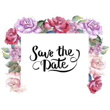 İhale pembe gül. Botanik çiçek. Çerçeve kenarlığı süsleme Meydanı. Arka plan, doku, sarıcı desen, çerçeve veya kenarlık için Aquarelle kır çiçeği.