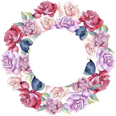 İhale pembe gül. Botanik çiçek. Çerçeve kenarlığı süsleme Meydanı. Arka plan, doku, sarıcı desen, çerçeve veya kenarlık için Aquarelle kır çiçeği.