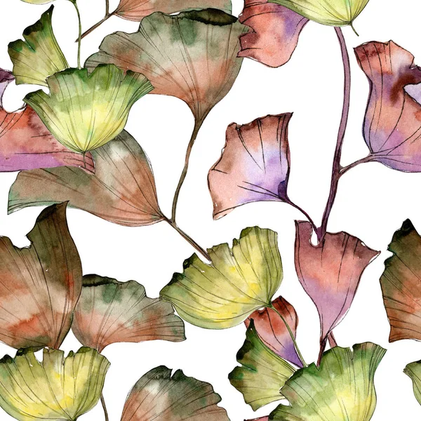 Φύλλα Ginkgo Φύλλο Φυτού Βοτανικός Κήπος Floral Φύλλωμα Απρόσκοπτη Υπόβαθρο — Φωτογραφία Αρχείου