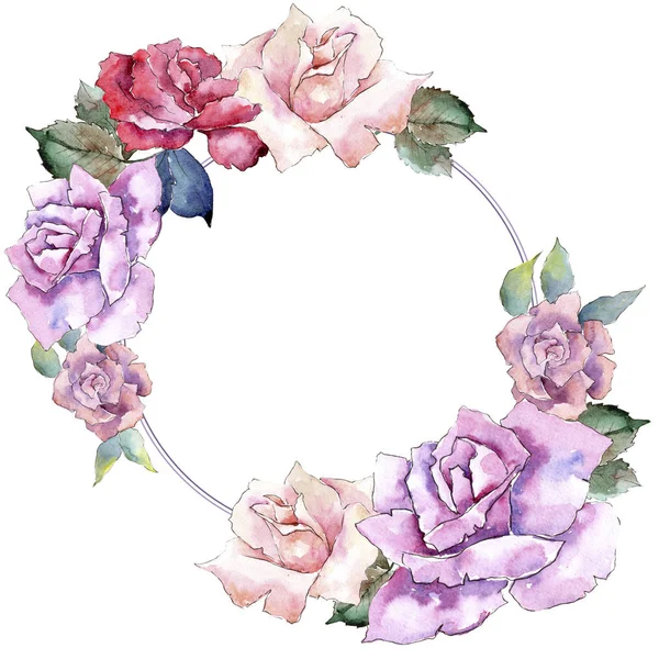 Ніжні Рожеві Троянди Квіткова Ботанічна Квітка Каркасний Бордюрний Орнамент Площі — стокове фото
