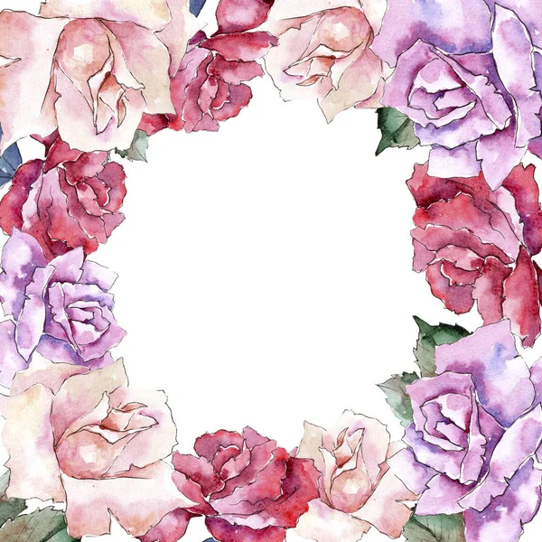 Нежные Розовые Розы Цветочный Ботанический Цветок Каркас Границы Украшения Квадрат — стоковое фото