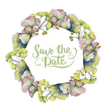 Yeşil yaprak ginkgo. Yaprak bitki botanik bahçe çiçek yaprakları. Çerçeve kenarlığı süsleme Meydanı.