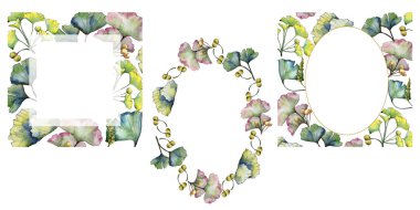 Yeşil yaprak ginkgo. Yaprak bitki botanik bahçe çiçek yaprakları. Çerçeve kenarlığı süsleme Meydanı.