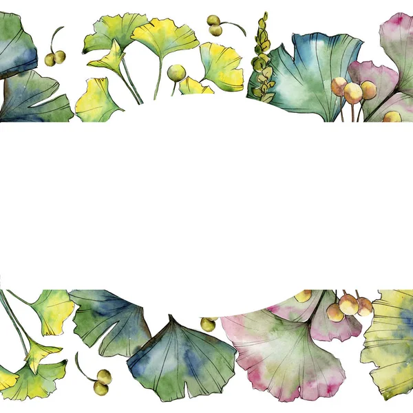 녹색 잎의 은행나무 식물 잎 식물원 꽃 단풍입니다. 프레임 테두리 장식 스퀘어. — 스톡 사진