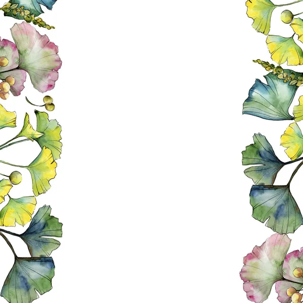 녹색 잎의 은행나무 식물 잎 식물원 꽃 단풍입니다. 프레임 테두리 장식 스퀘어. — 스톡 사진