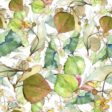 Linden suluboya tarzında bırakır. Sorunsuz arka plan deseni. Kumaş duvar kağıdı yazdırma doku. Aquarelle yaprak için arka plan, doku, sarıcı desen, çerçeve veya kenarlık.