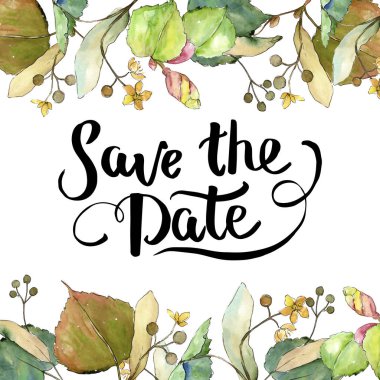 Linden suluboya tarzında bırakır. Çerçeve kenarlığı süsleme Meydanı. Aquarelle yaprak için arka plan, doku, sarıcı desen, çerçeve veya kenarlık.