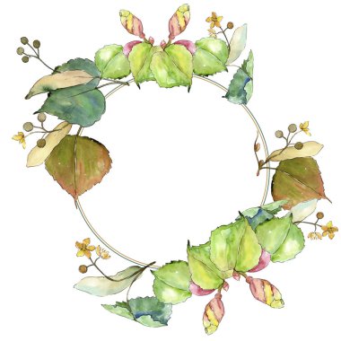Linden suluboya tarzında bırakır. Çerçeve kenarlığı süsleme Meydanı. Aquarelle yaprak için arka plan, doku, sarıcı desen, çerçeve veya kenarlık.