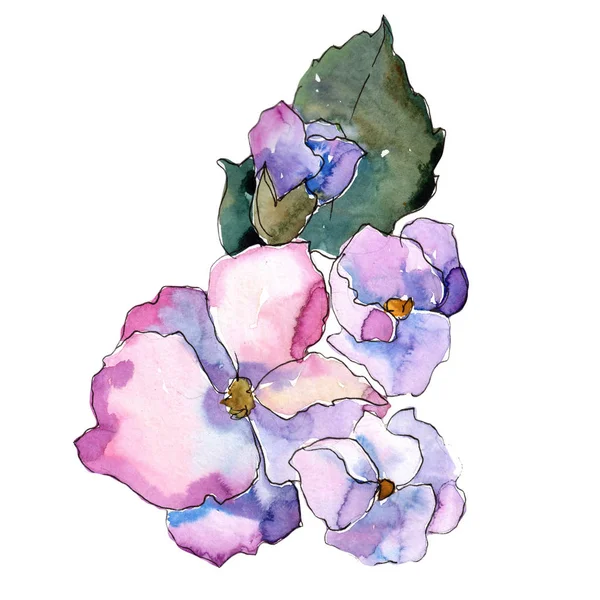 Pembe Gardenya çiçek izole bir suluboya tarzında. Bitki tam adı: Gardenya. Arka plan, doku, sarıcı desen, çerçeve veya kenarlık için Aquarelle kır çiçeği.