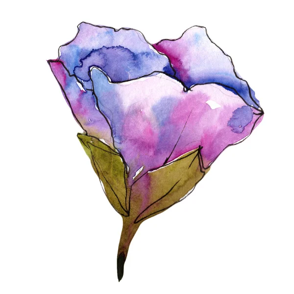Fialový Gardenia Květina Stylu Akvarelu Samostatný Celé Jméno Rostliny Gardenia — Stock fotografie