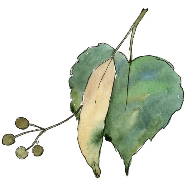 수채화 스타일에 나뭇잎 프레임 테두리에 — 스톡 사진
