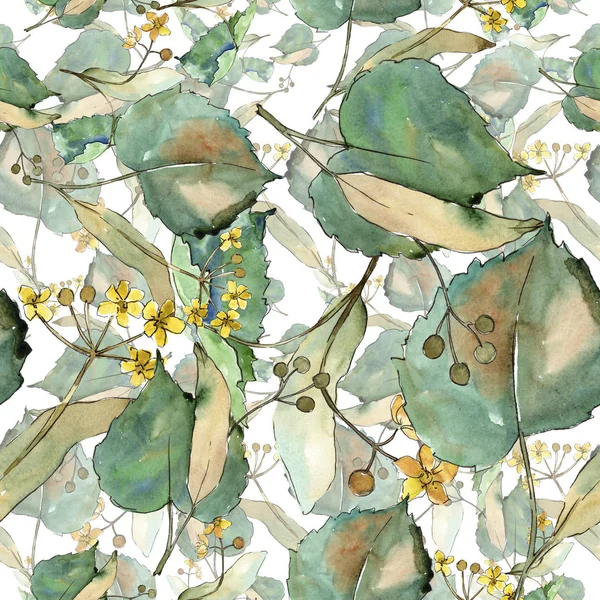 Linden suluboya tarzında bırakır. Sorunsuz arka plan deseni. Kumaş duvar kağıdı yazdırma doku. Aquarelle yaprak için arka plan, doku, sarıcı desen, çerçeve veya kenarlık.