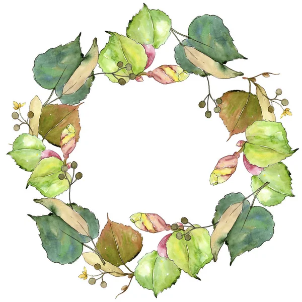 Linden suluboya tarzında bırakır. Çerçeve kenarlığı süsleme Meydanı. Aquarelle yaprak için arka plan, doku, sarıcı desen, çerçeve veya kenarlık.