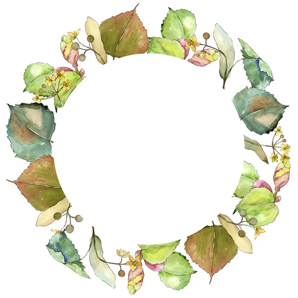 Linden suluboya tarzında bırakır. Çerçeve kenarlığı süsleme Meydanı. Aquarelle yaprak için arka plan, doku, sarıcı desen, çerçeve veya kenarlık.