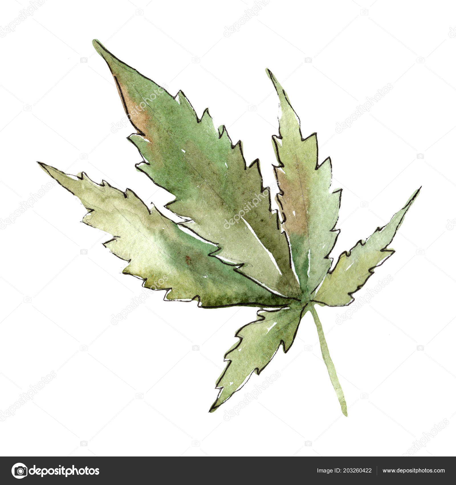 Cannabis Blatt Malen Malvorlagen Gratis