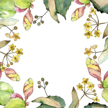 Linden suluboya tarzında bırakır. Çerçeve kenarlığı süsleme Meydanı. Aquarelle yaprak için arka plan, doku, sarıcı desen, çerçeve veya kenarlık.