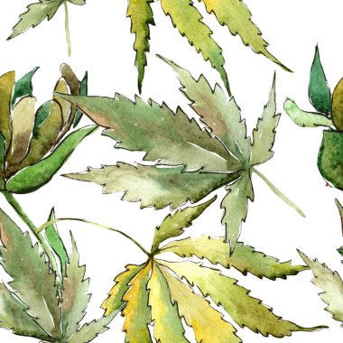 Yeşil esrar bir suluboya tarzında bırakır. Sorunsuz arka plan deseni. Kumaş duvar kağıdı yazdırma doku. Aquarelle yaprak için arka plan, doku, sarıcı desen, çerçeve veya kenarlık.