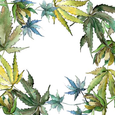 Yeşil esrar bir suluboya tarzında bırakır. Çerçeve kenarlığı süsleme Meydanı. Aquarelle yaprak için arka plan, doku, sarıcı desen, çerçeve veya kenarlık.