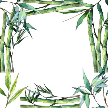 Bambu bir suluboya tarzında bırakır. Çerçeve kenarlığı süsleme Meydanı. Aquarelle yaprak için arka plan, doku, sarıcı desen, çerçeve veya kenarlık.