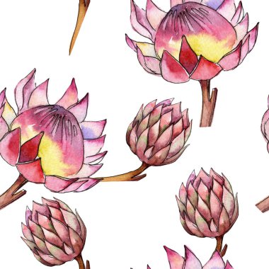 Renkli tropikal bitki. Botanik çiçek. Sorunsuz arka plan deseni. Kumaş duvar kağıdı yazdırma doku. Arka plan, doku, sarıcı desen, çerçeve veya kenarlık için Aquarelle kır çiçeği.