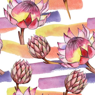 Renkli tropikal bitki. Botanik çiçek. Sorunsuz arka plan deseni. Kumaş duvar kağıdı yazdırma doku. Arka plan, doku, sarıcı desen, çerçeve veya kenarlık için Aquarelle kır çiçeği.