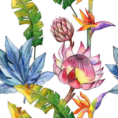 Renkli tropikal bitki. Botanik çiçek. Sorunsuz arka plan deseni. Kumaş duvar kağıdı yazdırma doku. Arka plan, doku, sarıcı desen, çerçeve veya kenarlık için Aquarelle kır çiçeği.