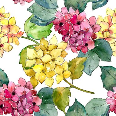 Renkli ortanca çiçek suluboya tarzında. Sorunsuz arka plan deseni. Bitki tam adı: ortanca. Arka plan, doku, sarıcı desen, çerçeve veya kenarlık için Aquarelle kır çiçeği.