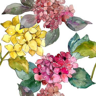 Renkli ortanca çiçek suluboya tarzında. Sorunsuz arka plan deseni. Bitki tam adı: ortanca. Arka plan, doku, sarıcı desen, çerçeve veya kenarlık için Aquarelle kır çiçeği.