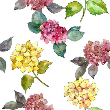 Renkli ortanca çiçek suluboya tarzında. Sorunsuz arka plan deseni. Bitki tam adı: ortanca. Arka plan, doku, sarıcı desen, çerçeve veya kenarlık için Aquarelle kır çiçeği.
