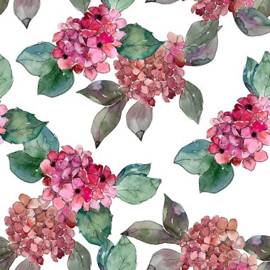 Renkli ortanca çiçek suluboya tarzında. Sorunsuz arka plan deseni. Bitki tam adı: ortanca. Arka plan, doku, sarıcı desen, çerçeve veya kenarlık için Aquarelle kır çiçeği.