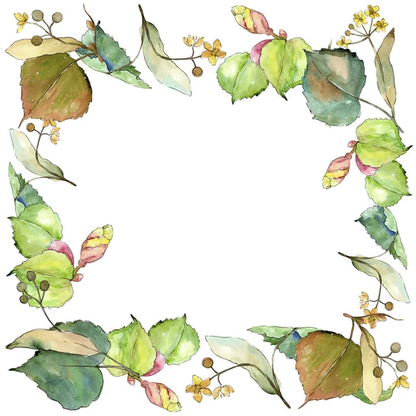 Linden Leaves Watercolor Style Frame Border Ornament Square Aquarelle Leaf — Stock Photo, Image