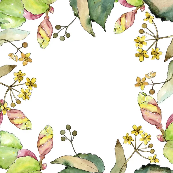 Linden suluboya tarzında bırakır. Çerçeve kenarlığı süsleme Meydanı. Aquarelle yaprak için arka plan, doku, sarıcı desen, çerçeve veya kenarlık.