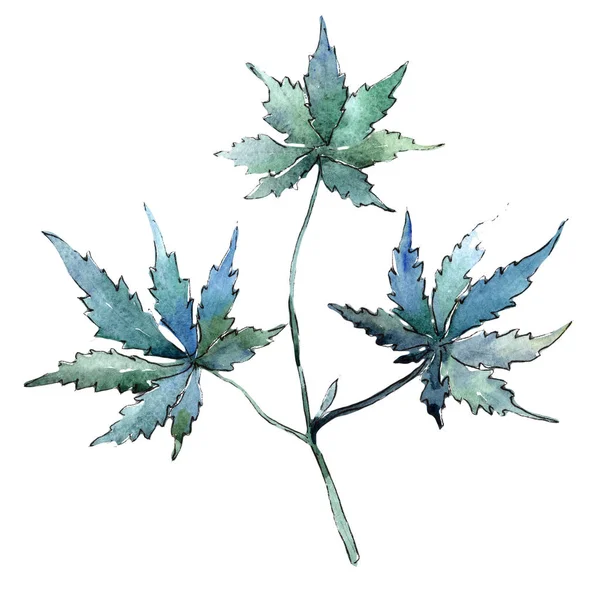 대마초 수채화 스타일에 나뭇잎 프레임 테두리에 — 스톡 사진