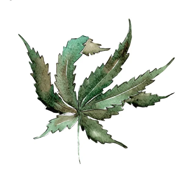 Foglie Cannabis Verde Uno Stile Acquerello Isolato Foglia Acquarello Sfondo — Foto Stock